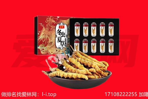 渭南市蒲城回收虫草.jpg